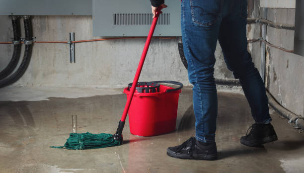 Best Water damage restoration near me  in Leilani Estates, HI