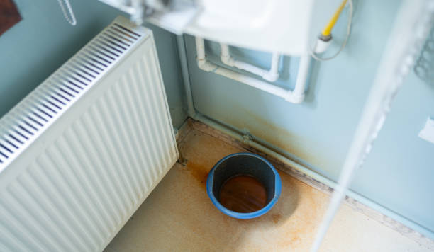 Best Carpet water damage restoration  in Leilani Estates, HI