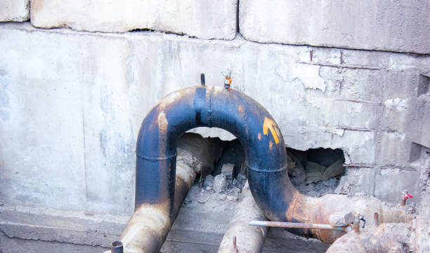 Best Carpet water damage restoration  in Leilani Estates, HI